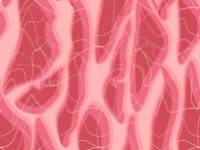 A B12 vitaminhiány jelei és kezelése