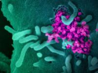 A koronavírus (COVID-19) hatékony kezelése: felvillant a fény az alagút végén?