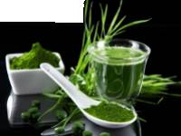 A Magma gyógyító ereje