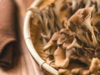 A maitake gomba jótékony hatása a vércukorra, koleszterinre és az immunrendszerre