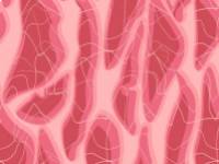 A rossz vérkeringés jelei