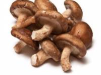 A shiitake gomba tudományosan is bizonyított 8 jótékony hatása