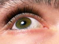 A spenót jó hatással van a szemre és megakadályozza a makula degeneráció kialakulását