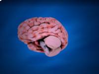 A szklerózis multiplex 7 furcsa és szokatlan jele