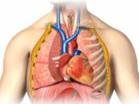 A tüdőrák nyolc meglepő jele, amit nem szabad figyelmen kívül hagynia