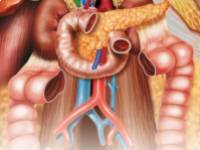 A vastagbélrák fontos jelei, amiket nem szabad figyelmen kívül hagynia