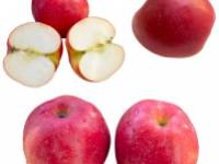 Az almamag olaj bőrre gyakorolt jótékony hatása 10 pontban