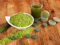 Az árpafű tápanyagtartalma