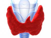 Elhízás, jód, pajzsmirigy