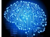 Főzési technikák, amik növelik az Alzheimer kialakulását