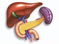 Hasnyálmirigyrák: egy Parkinson-gyógyszer jelentheti az áttörést a gyógyításában?
