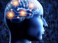 Hatékonyan kezelhető-e halolajjal az ADHD (hiperaktivitási zavar)?