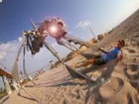 Illóolajokkal a szúnyogok ellen