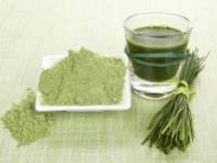 Lúgosító árpafű