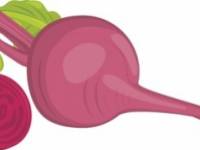 Mi történik a szervezetével, ha céklalevet iszik?