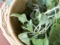 Miért van a lakosság 80%-ának magnézium hiánya és mit tehetünk ellene?