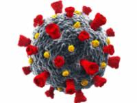 Minden, amit a jelenleg elérhető koronavírus elleni vakcinákról tudni kell