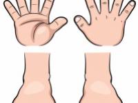 Mindennapi gyakorlatok az egészséges ízületekért