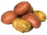 Négyezer év, négyezer fajta: a csodálatos burgonya