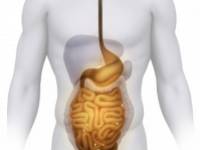 Az élesztőt bekebelező bélbaktérium lehet a gyógyír a Crohn betegségre