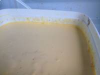 A kolosztrum egészségre gyakorolt jótékony hatása 2 pontban