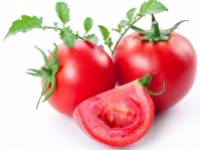 Paradicsomos-uborkás-vöröshagymás saláta mentával