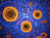 Sejthalál: mi áll a rák mögött?