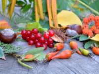 Vörös áfonyás rizottó