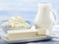 Zsír, mint táplálék: melyik típust válasszuk?