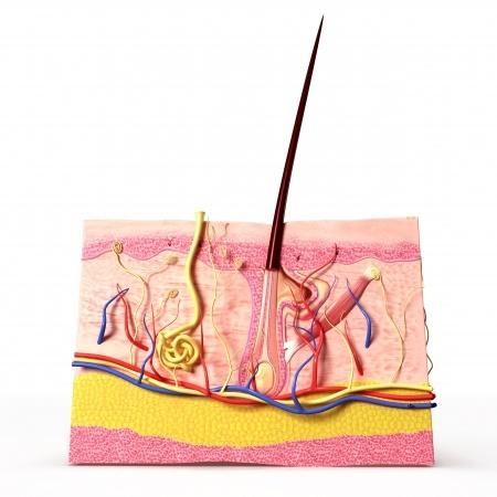 16 otthoni módszer, amelynek segítségével megszabadulhat a nem kívánatos szőröktől