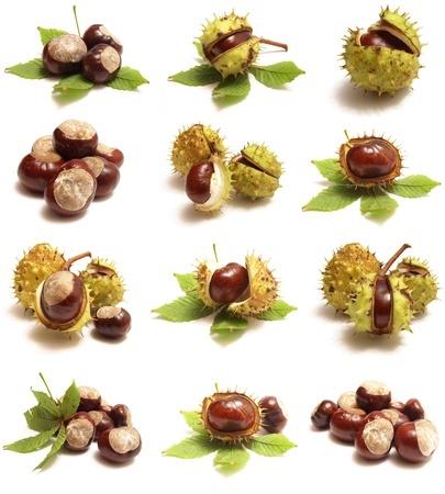 A gesztenye mellékhatása 8 pontban