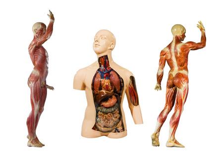 A hasnyálmirigyrák 10 figyelmeztető jele, amit nem szabad figyelmen kívül hagyni