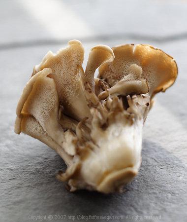 A maitake gyógygombából nyert D-frakció anti-tumor hatása mellrák esetén