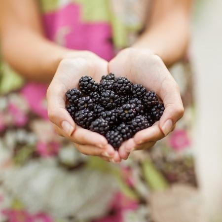 A szedermálna egészségre gyakorolt jótékony hatása 10 pontban