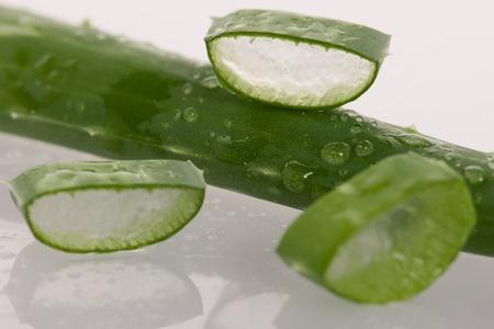 Csináld magad: aloé verás maszk a hajra és a bőrre