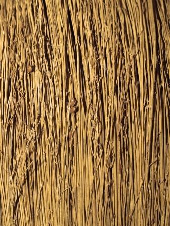 Házi gyógymódok a seprűvénára