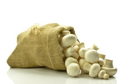 Mi az, hogy adaptogén hatás?