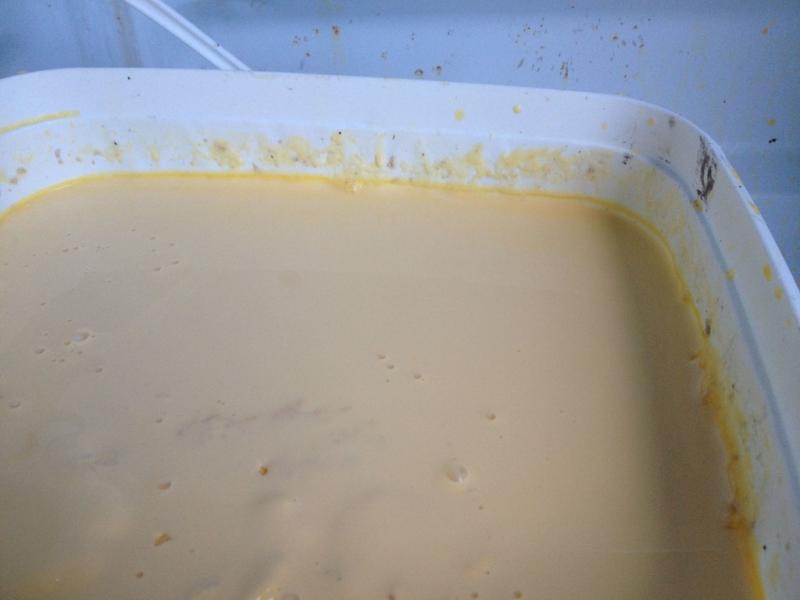 A kolosztrum egészségre gyakorolt jótékony hatása 2 pontban