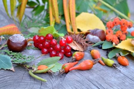 Vörös áfonyás rizottó